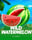 Wild Watermelon