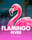 Flamingo Fever