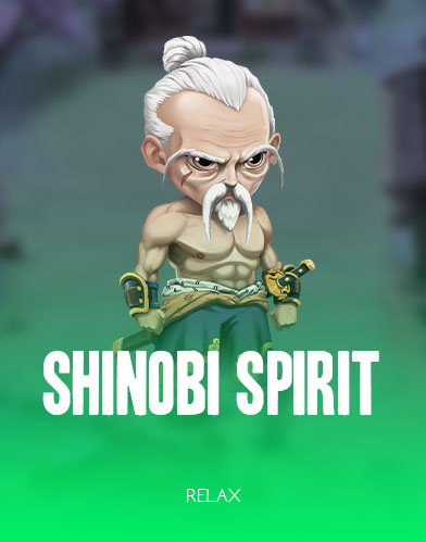 Shinobi Spirit