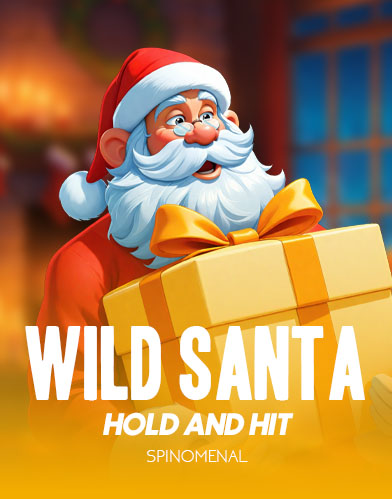 Wild Santa - Hold & Hit
