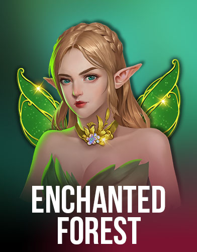 Enchanted Forest