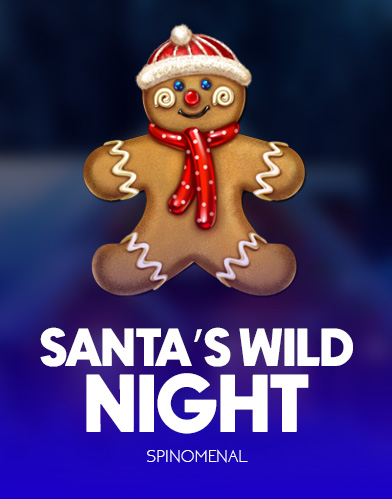 Santa's Wild Night