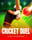 Cricket Duel