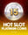 Hot Slot Platinum Coins