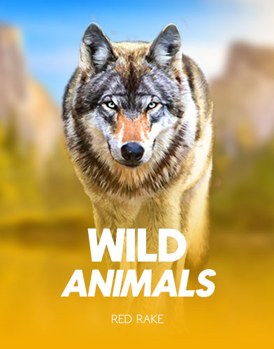 Wild Animals