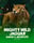 Mighty Wild Jaguar Santa's Jackpots
