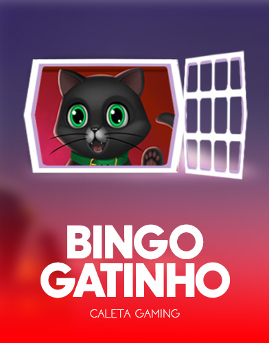 Bingo Gatinho