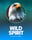 Wild Spirit