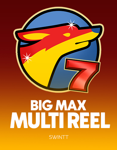 Big Max Multi Reel